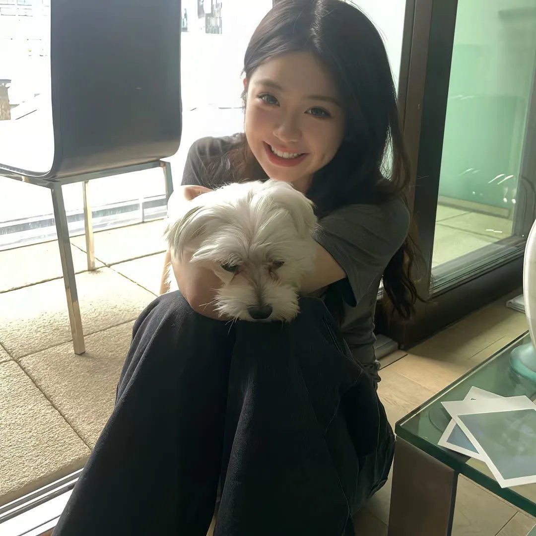 夜叉：浴血谍战
