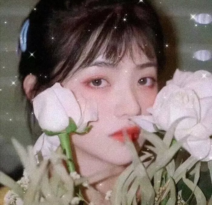 遇见波莉